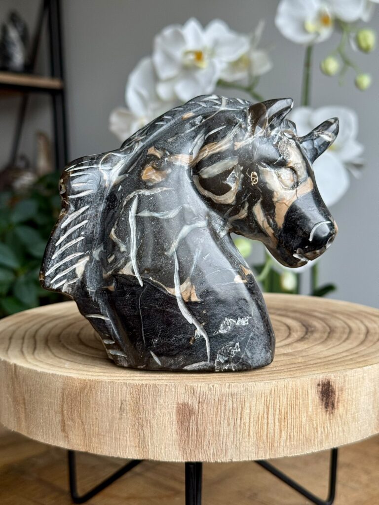 Eenhoorn zwarte jaspis