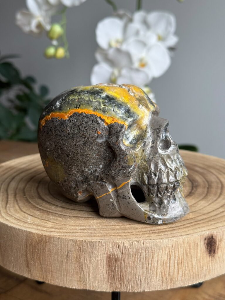 Skull Bumble bee jaspis