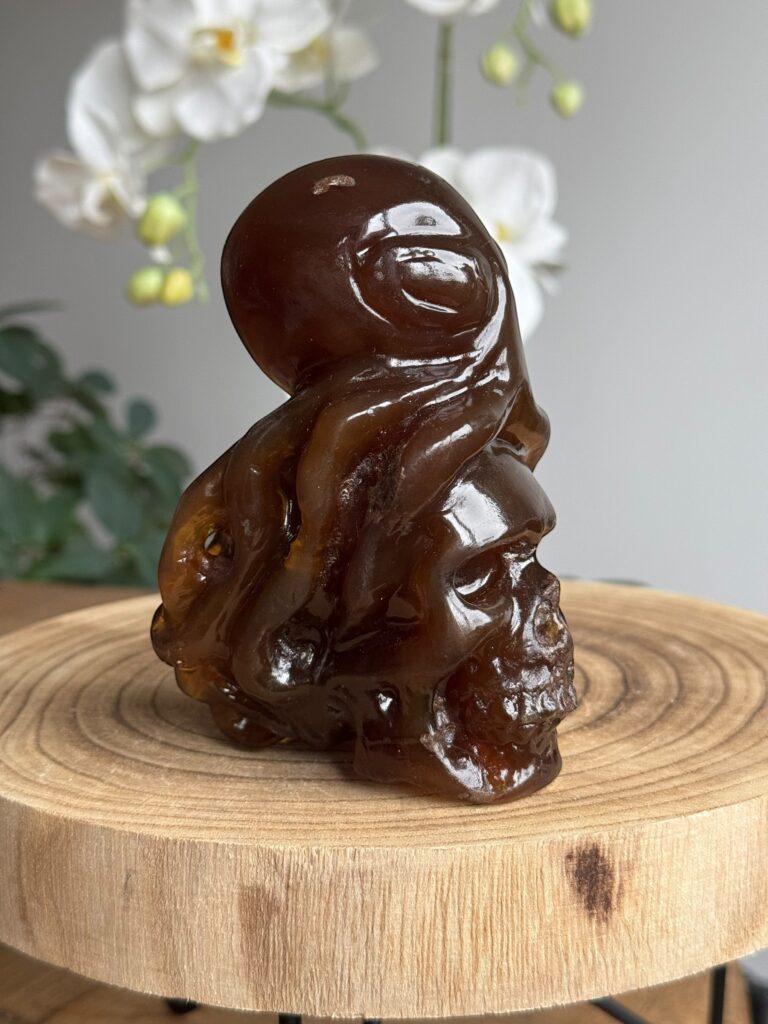 Skull inktvis amber